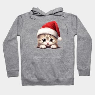 Christmas Peeking Baby Cat Hoodie